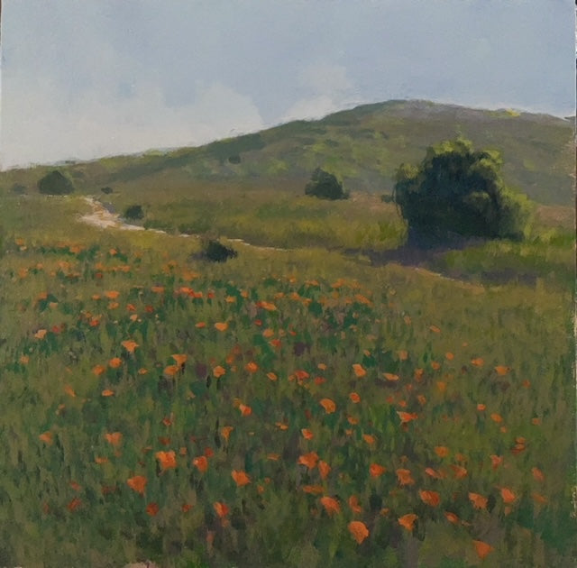 "Quail Hill Poppies II"