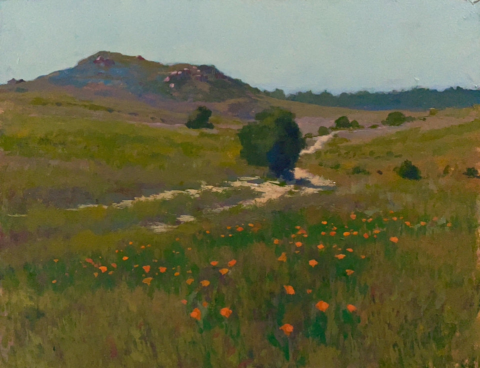 "Quail Hill Poppies"