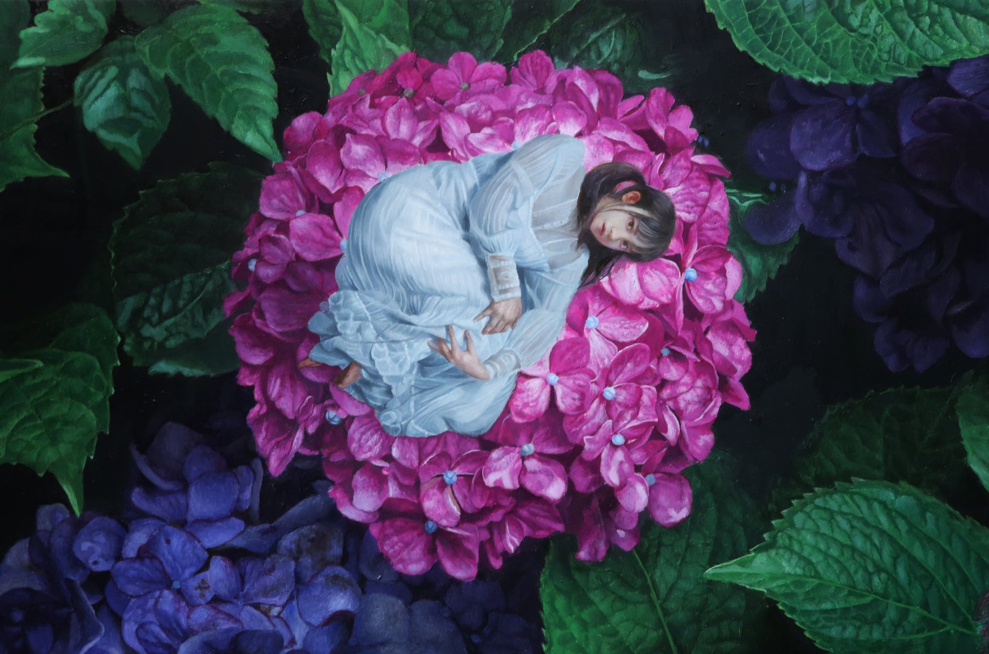 "The Memory of Hydrangea"